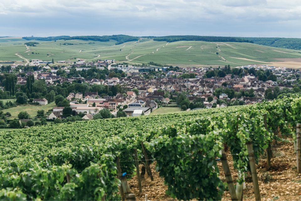 Verona: Private Tour of Soave and Amarone - Frequently Asked Questions