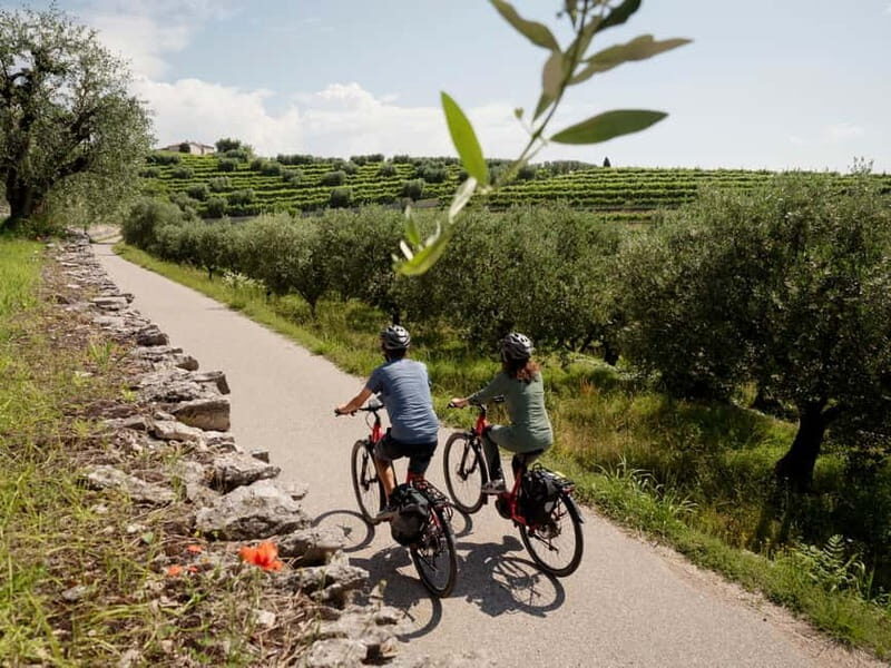Verona: Valpolicella Wine Self-Guided E-Bike Tour & Tastings - FAQ