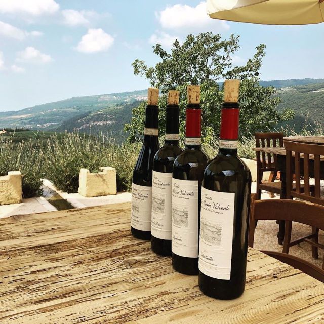 Verona: Vineyard and Winery Tour With Wine Tasting - Important Information