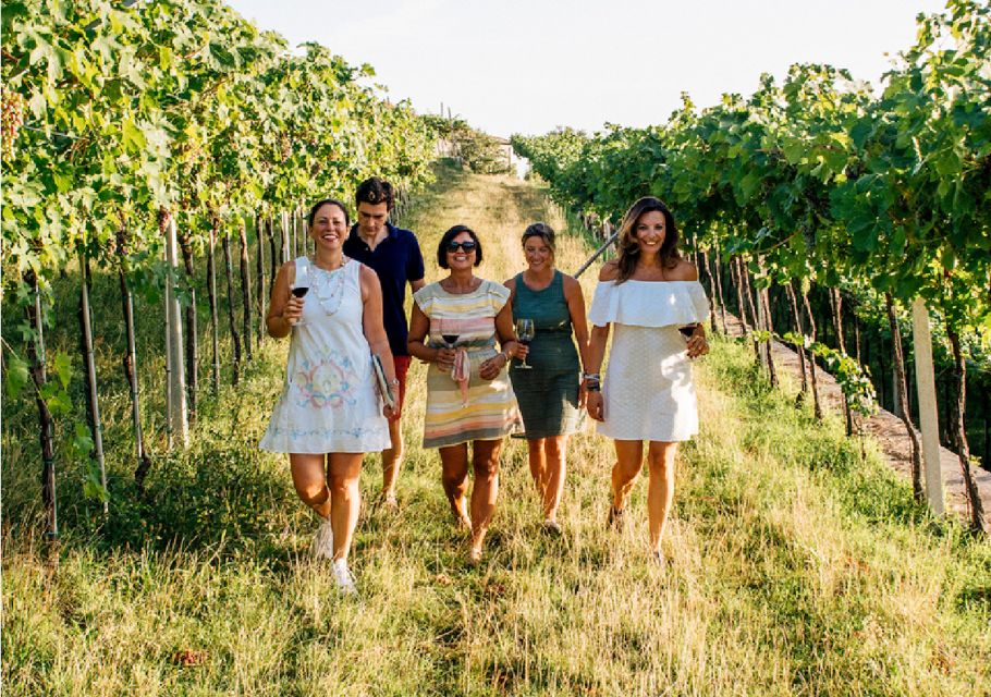 Verona: Vineyard and Winery Tour With Wine Tasting - Location and Accessibility