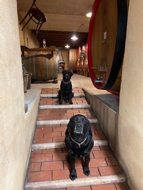 Verona: Wine Tasting in the Winerys Courtyard - Pairing With Local Products