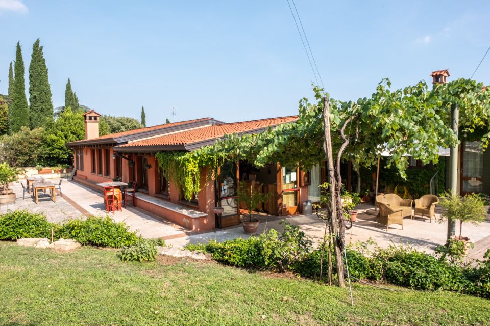 Verona: Wine Tasting With Snacks and Panoramic City Views - Winery Profile