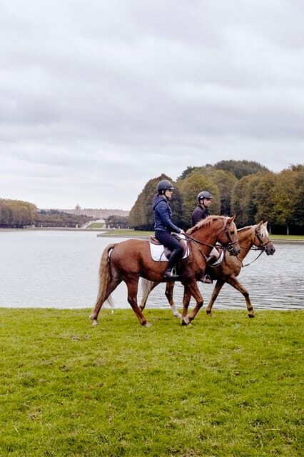 Versailles : Horse-riding, Gastronomy & Château - An In-Depth Look at the Versailles Horse-riding, Gastronomy & Château Tour