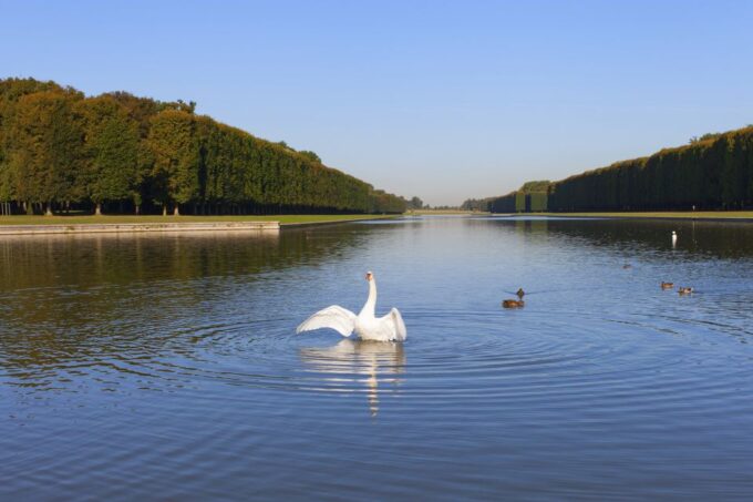 Versailles: Skip-The-Line Guided Tour of Palace With Gardens - Visiting the Trianons and Queens Hamlet