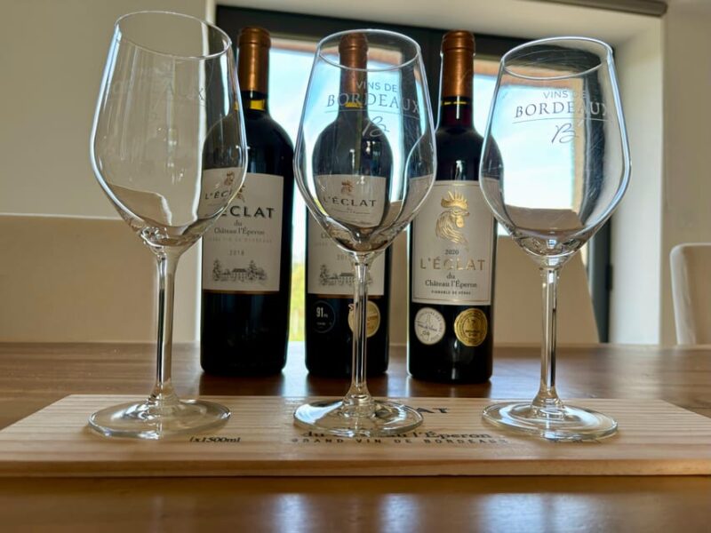 Vertical Degustation of a Special Cuvée With Cheese Plate - Merlot, Cabernet Sauvignon, and Malbec Varieties