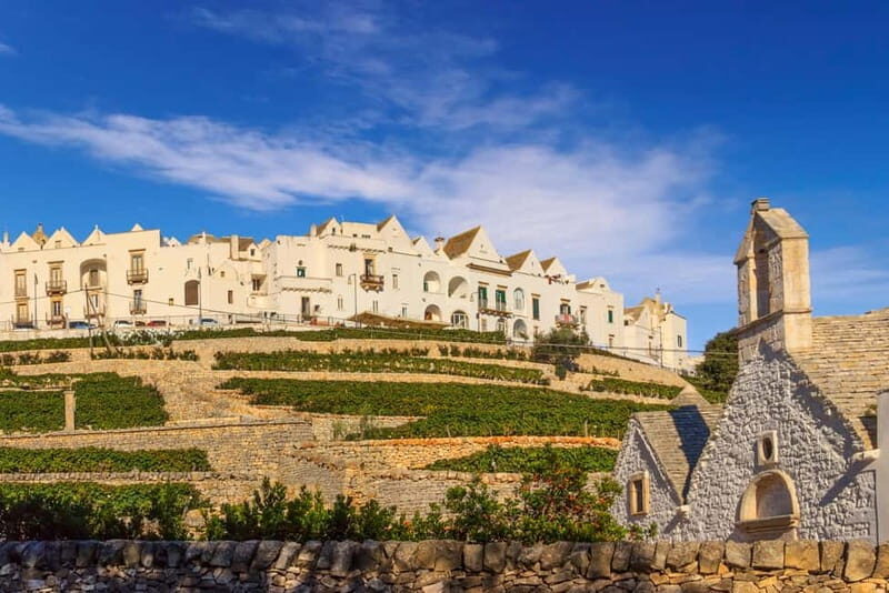 Vespa scenic tour: Trulli and Countryside with tastings in Itria Valley - Who Will Love This Tour?