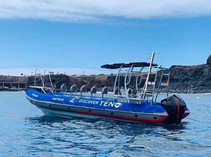 VESPA TOUR TENERIFE+BOAT TOUR CLIFFS OF THE GIANTS+BATH +LUNCH - Swimming at Masca Beach