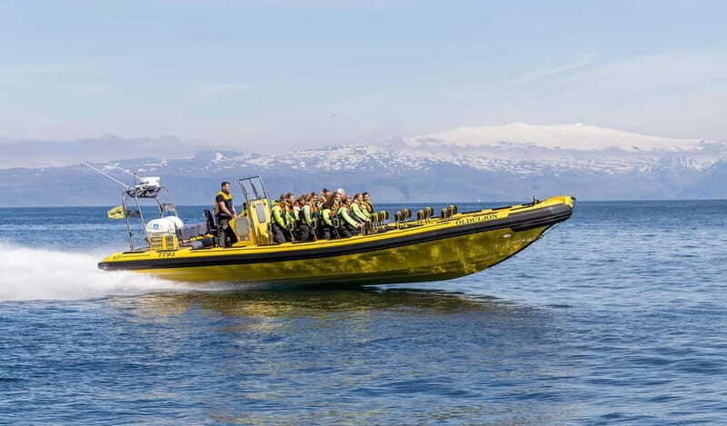 Vestmannaeyjar: 2 hour RIB boat Tour - The Sum Up: Is This Tour Worth It?