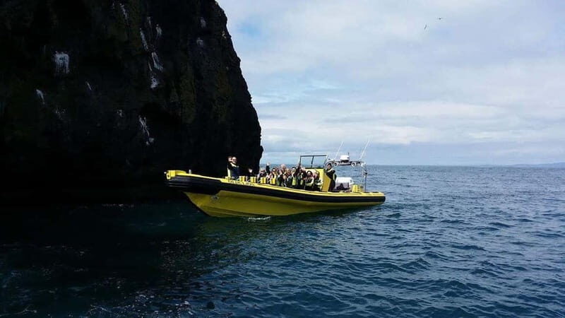 Vestmannaeyjar: One Hour Small Islands Trip - An Authentic and Action-Packed Icelandic Adventure