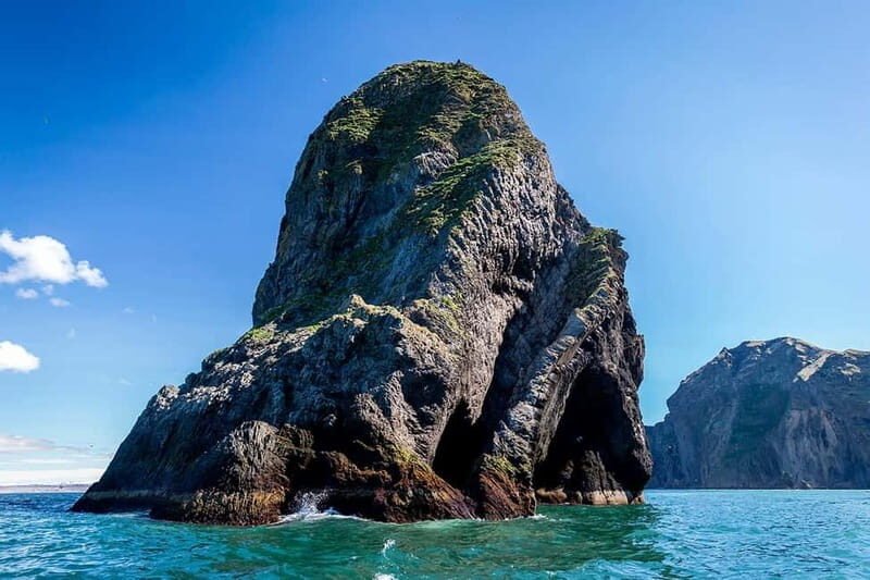 Vestmannaeyjar: One Hour Small Islands Trip - Wildlife Encounters in Their Natural Habitat