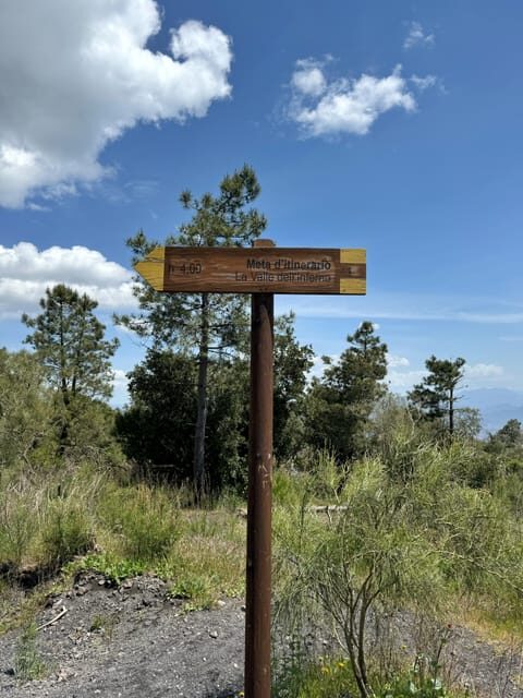 Vesuvio Bike Tour: Summit Ride and Entrance Ticket - The Descent and Return Journey