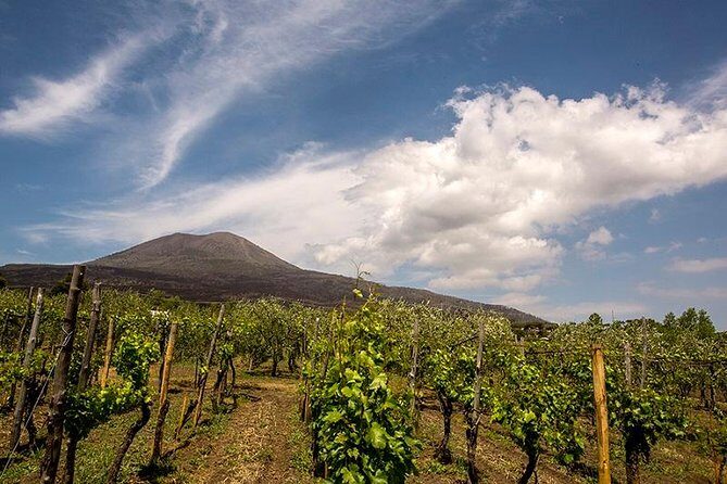 Vesuvio Gran cono + Wine Tasting & Lunch + Transfer from Naples - Key Points