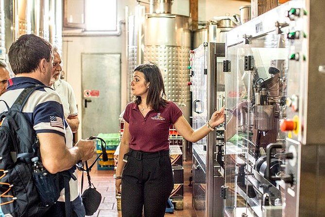 Vesuvio Gran cono + Wine Tasting & Lunch + Transfer from Naples - The Sum Up