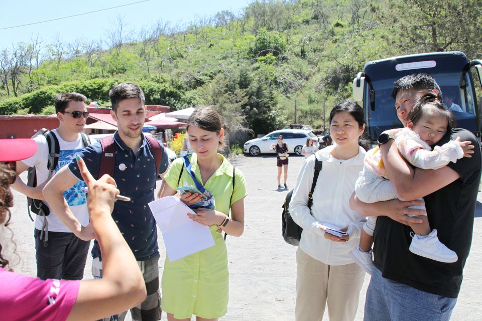 Vesuvius and Herculaneum - Itinerary Breakdown