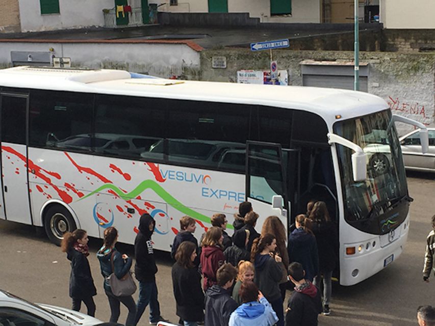 Vesuvius and Pompeii Transfer + Entrance for the Vesuvio - Customer Feedback and Ratings