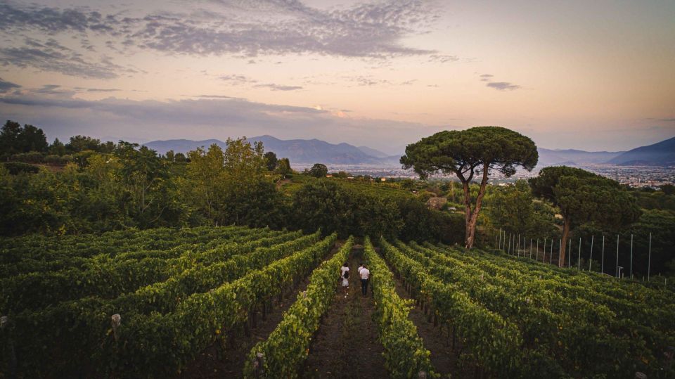 Vesuvius: Cooking Class on the Slopes of Vesuvius - Key Points