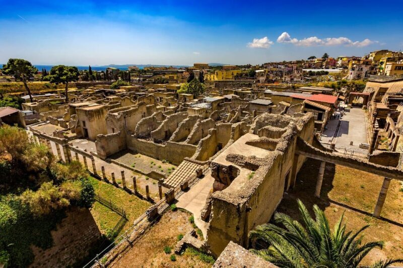 Vesuvius - Herculaneum - Pompeii Excavations Tour - Who Should Consider This Tour?