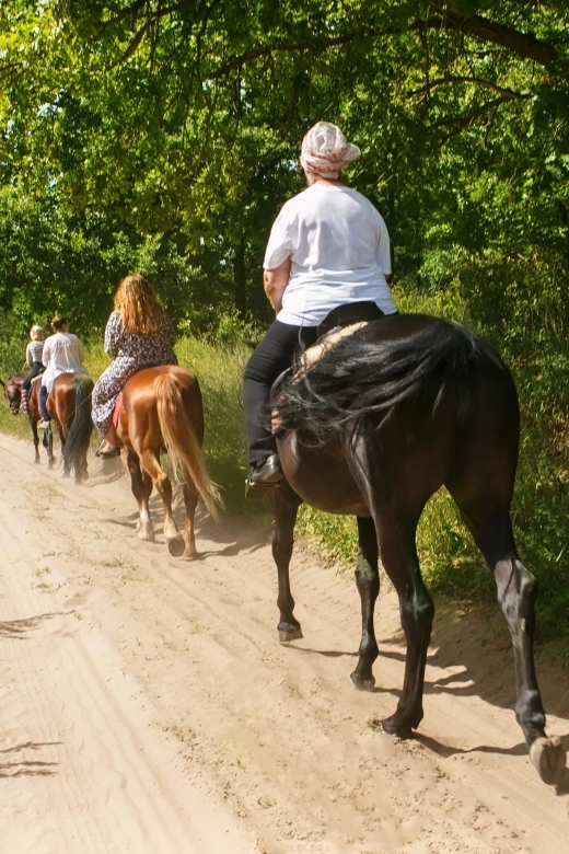 Vesuvius Horseback Riding With Tasting - Private Tour - Itinerary
