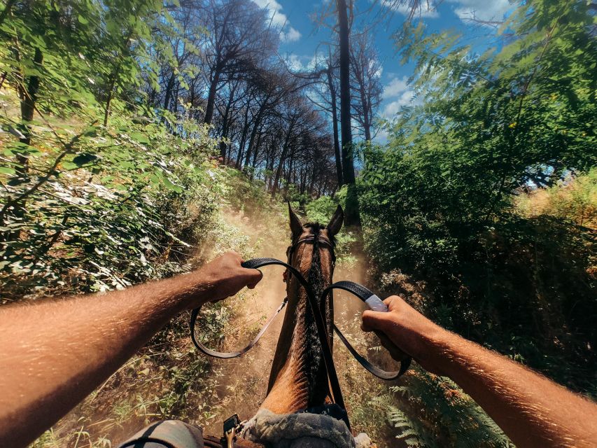 Vesuvius Horseback Riding With Tasting - Private Tour - Experience