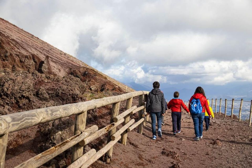 Vesuvius: Skip-The-Line Tickets With Round Trip Transport - Customer Feedback