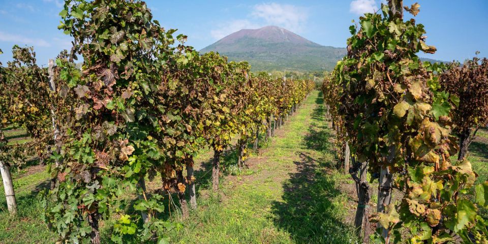 Vesuvius Valley and Pompeii With Wine Taste and Lunch by Van - Key Points