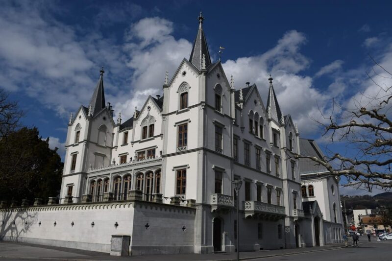Vevey - Private Walking Tour - Scenic Stroll Along Perdonnet Quay