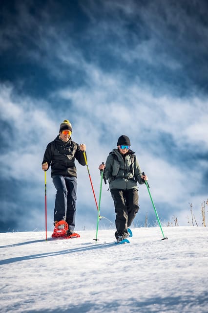 Vialattea: Snowshoeing in the Snowy Forest - Itinerary Details