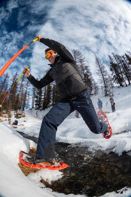 Vialattea: Snowshoeing in the Snowy Forest - Equipment and Requirements