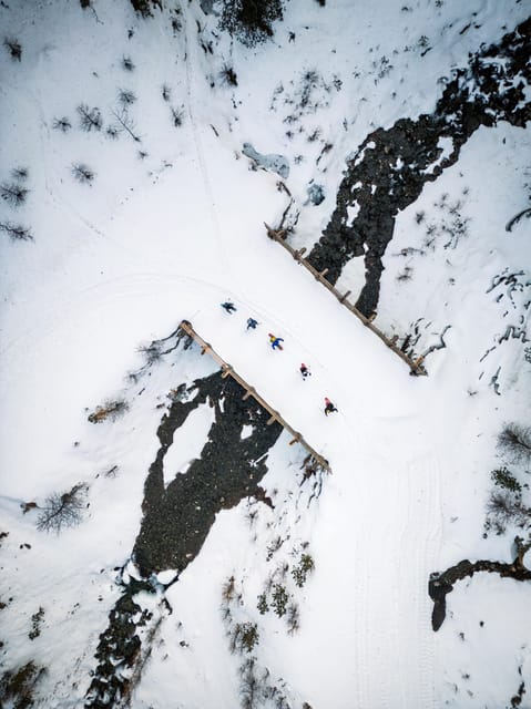Vialattea: Snowshoeing in the Snowy Forest - Exploring the Larch Forests