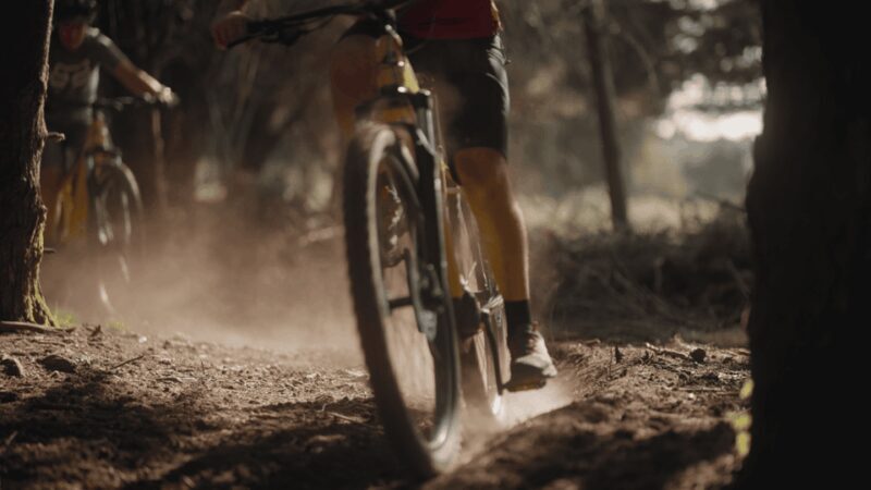 Viana do Castelo: e-mountain bike rental for adventures in nature and culture - Discovering Viana do Castelo by E-mountain Bike