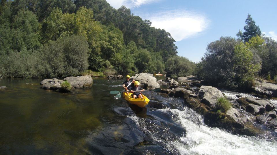 Viana Do Castelo: Kayak Tour at Lima River - Tour Highlights