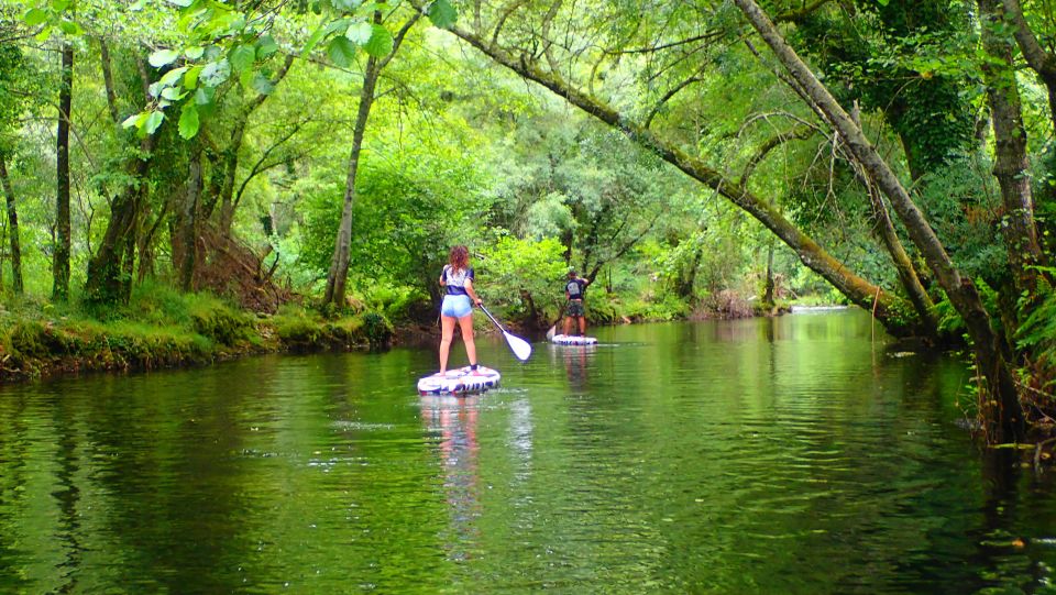 Viana Do Castelo: Vez River SUP With Transfer Options - Age and Experience Requirements
