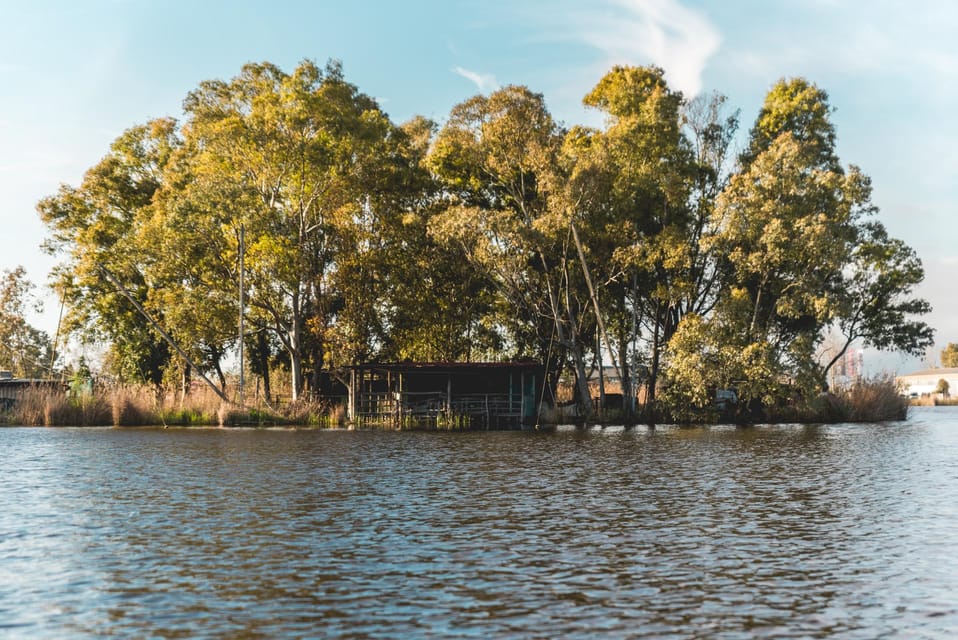 Viareggio: Marshes Electric Boat Tour With Wine Tasting - Scenic Views and Local Flora and Fauna
