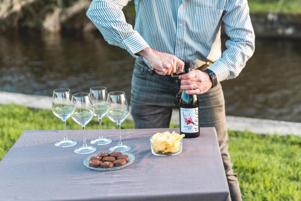 Viareggio: Marshes Electric Boat Tour With Wine Tasting - Highlights of the Tour