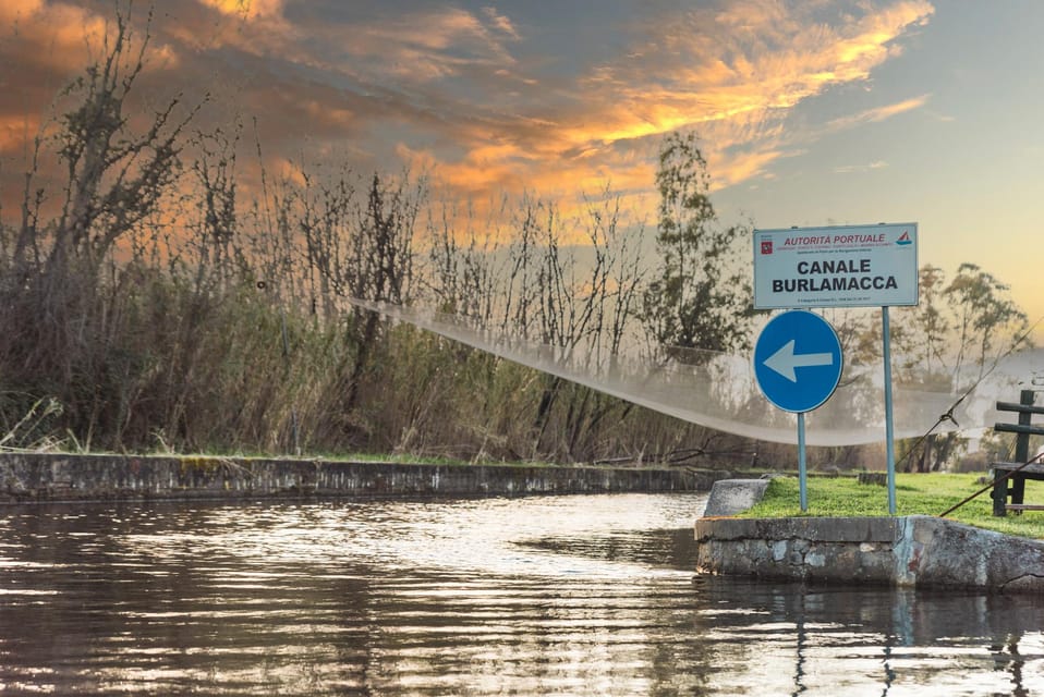 Viareggio: Marshes Electric Boat Tour With Wine Tasting - What to Expect and What to Bring