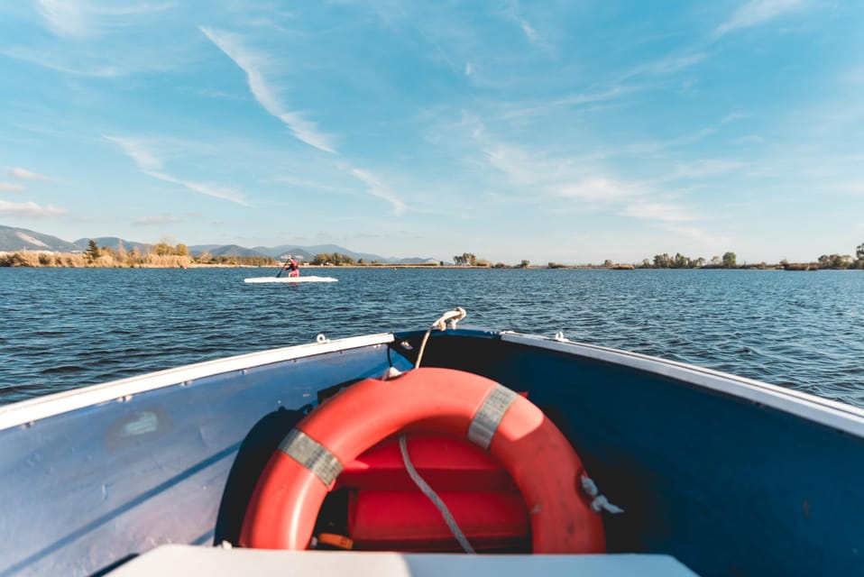 Viareggio: Marshes Electric Boat Tour With Wine Tasting - Ask Away
