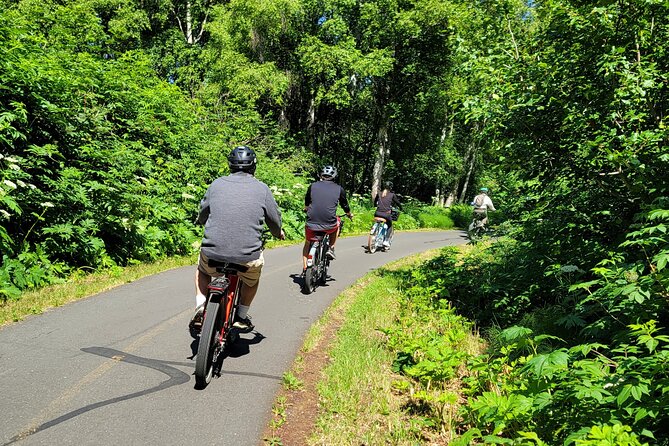 Viator Exclusive: Go Ebike Alaska on Tony Knowles Trail - Tips for a Great Experience