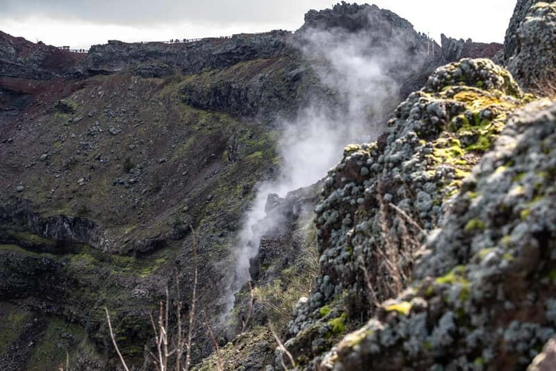 Vico Equense: Pompeii and Mount Vesuvius Guided Tour - What to Expect from the Tour