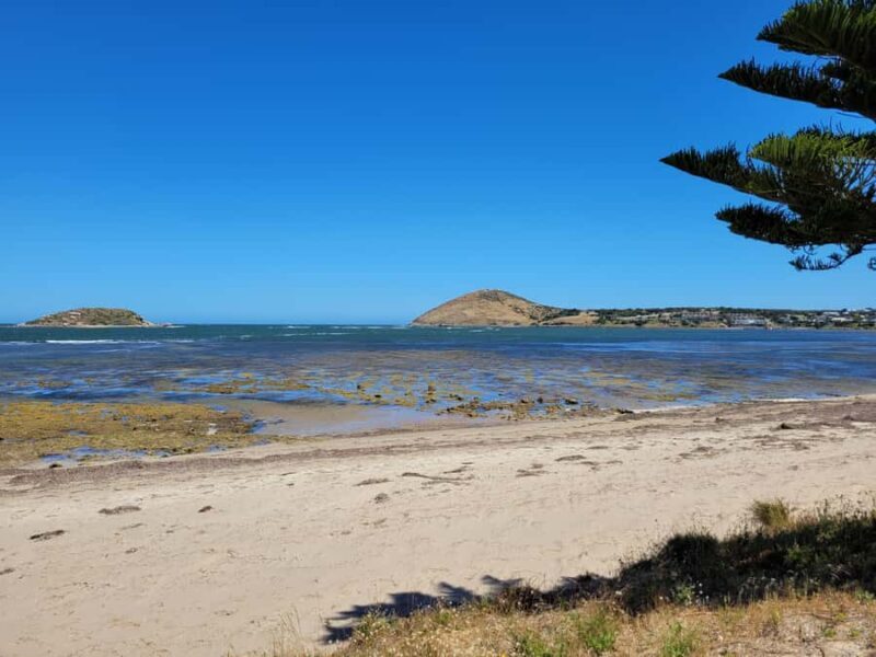 Victor Harbor: Shipwrecks & Settlers Walking Tour - A Detailed Look at the Victor Harbor: Shipwrecks & Settlers Walking Tour