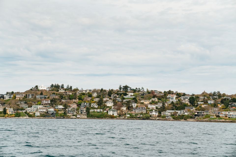 Victoria: 3-Hour Whale Watching Tour in a Zodiac Boat - Highlights of the Experience