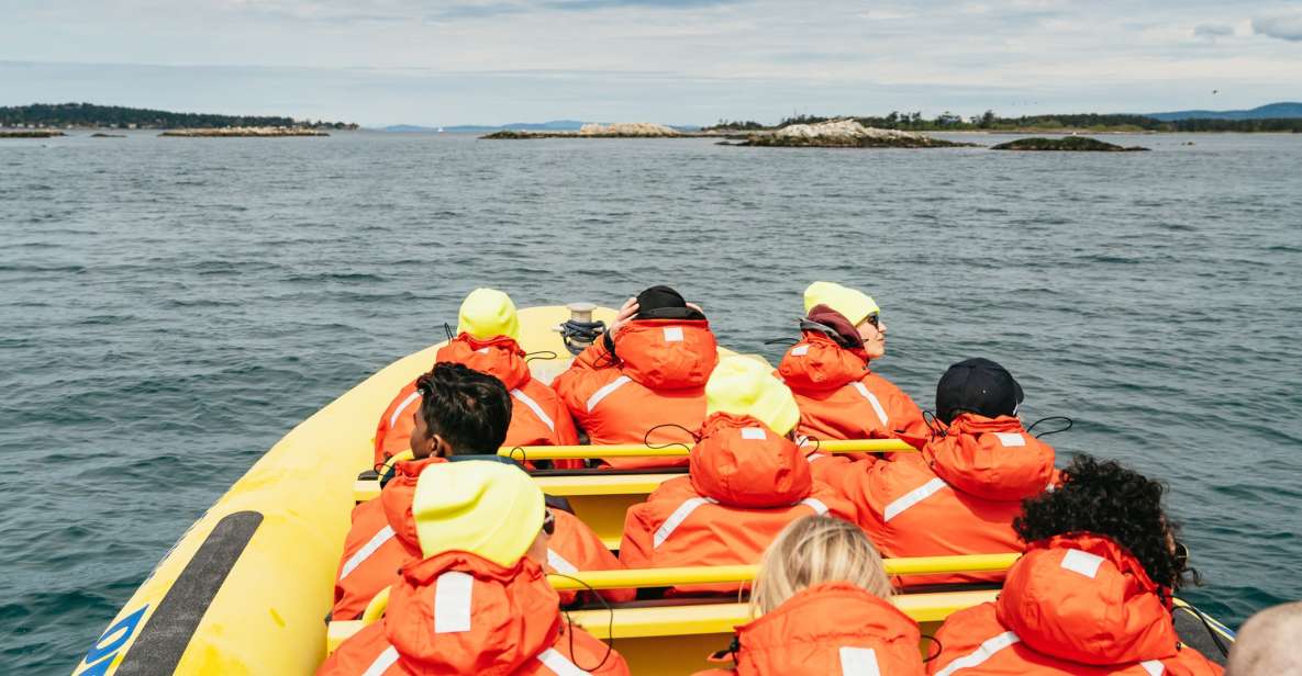 Victoria: 3-Hour Whale Watching Tour in a Zodiac Boat - Inclusions and Exclusions