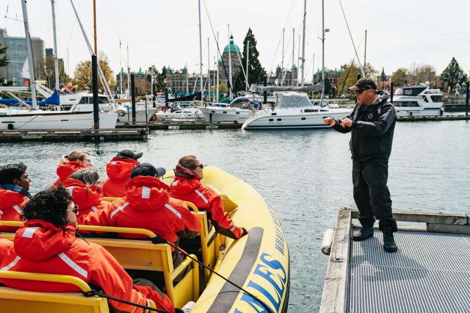 Victoria: 3-Hour Whale Watching Tour in a Zodiac Boat - Frequently Asked Questions