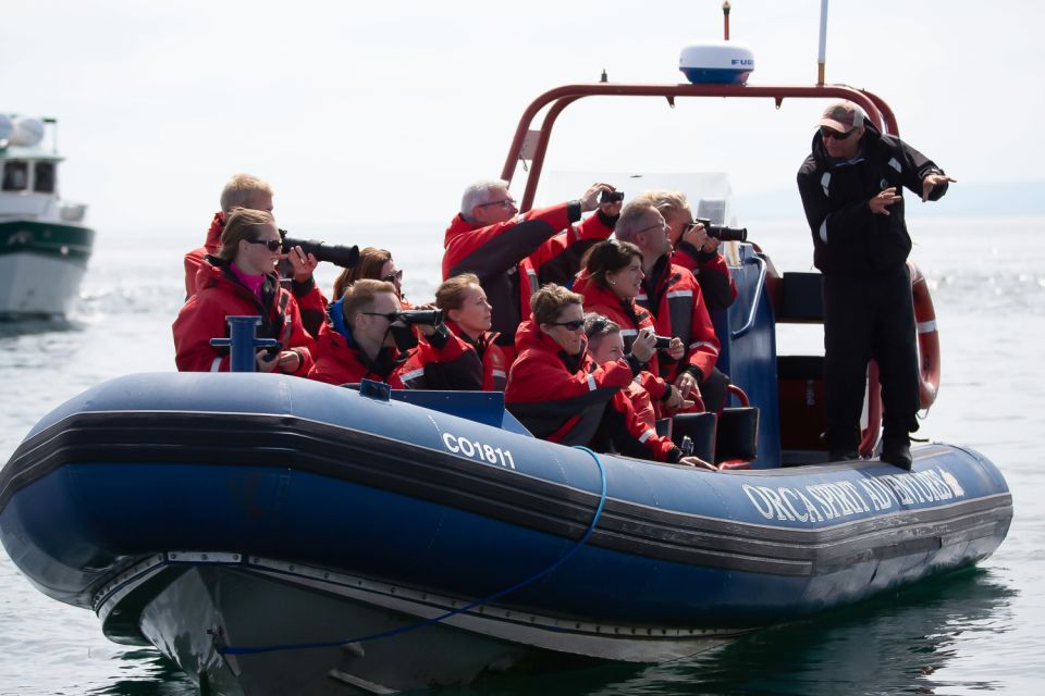 Victoria: 3-Hour Zodiac Whale-Watching Tour - Suitability and Restrictions