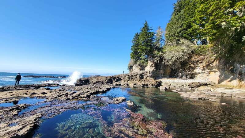 Victoria: 4-Day Tofino and Port Renfrew Tour with Flights - Logistics and Practical Considerations