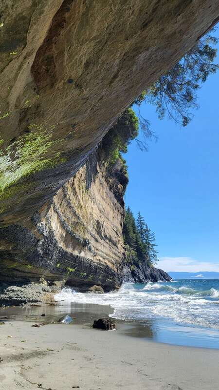 Victoria: 4-Day Tofino and Port Renfrew Tour with Flights - Final Verdict: Who Will Love This Tour?