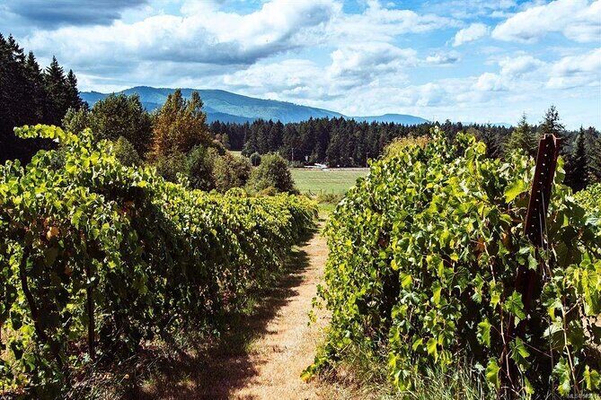 Victoria Bachelorette Full Day Guided Wine Tour with 4 Wineries - Authentic Experiences and Traveler Insights