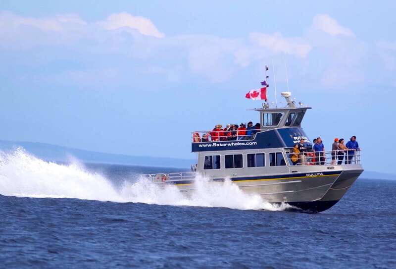 Victoria BC: 3 Hour Expedition Catamaran Whale Watching Tour - The Value of This Tour: Money Well Spent?