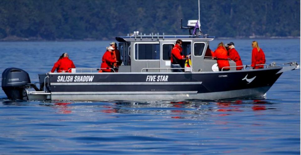 Victoria, BC: 3-Hour Ultimate Whale & Marine Wildlife Tour - What to Expect