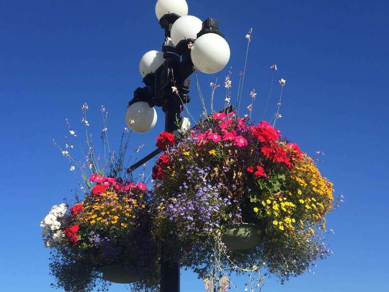 Victoria, BC: City Tour and Butchart Gardens Combo Tour - Who Will Love This Experience?