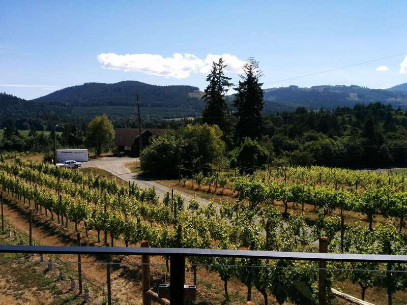 Victoria, BC: Food & Wine Tour to the Cowichan Valley - A Deep Dive into the Cowichan Valley Food & Wine Tour